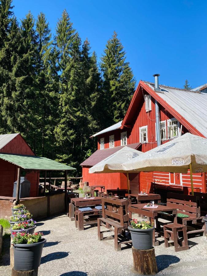 Penzion Lesni Zatisi- Harrachov Ngoại thất bức ảnh