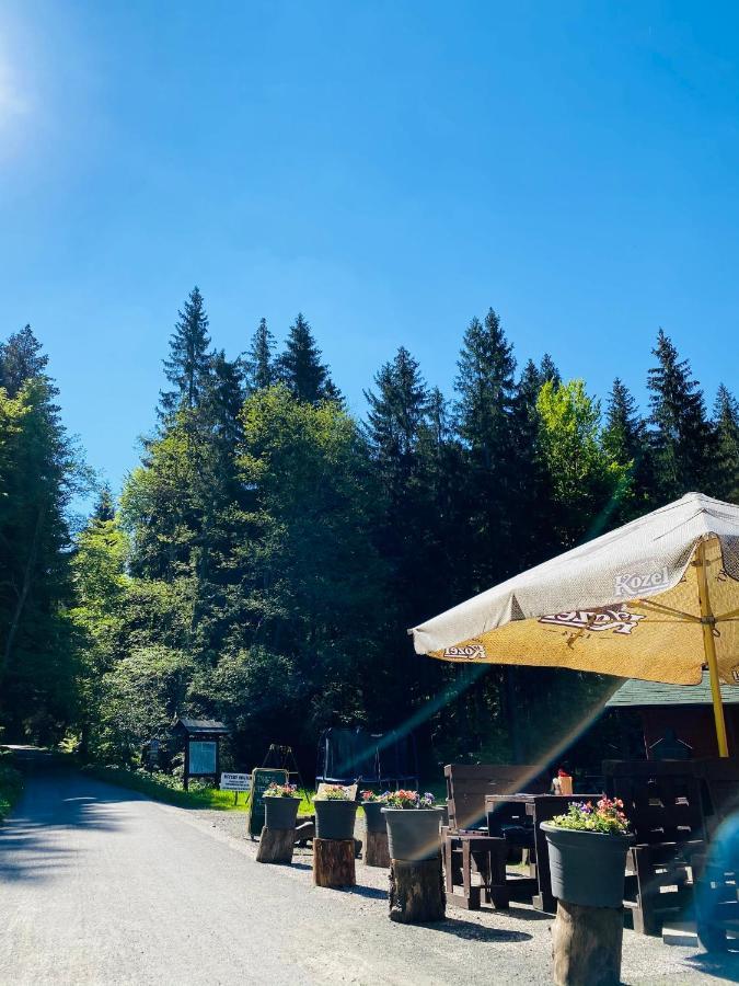 Penzion Lesni Zatisi- Harrachov Ngoại thất bức ảnh