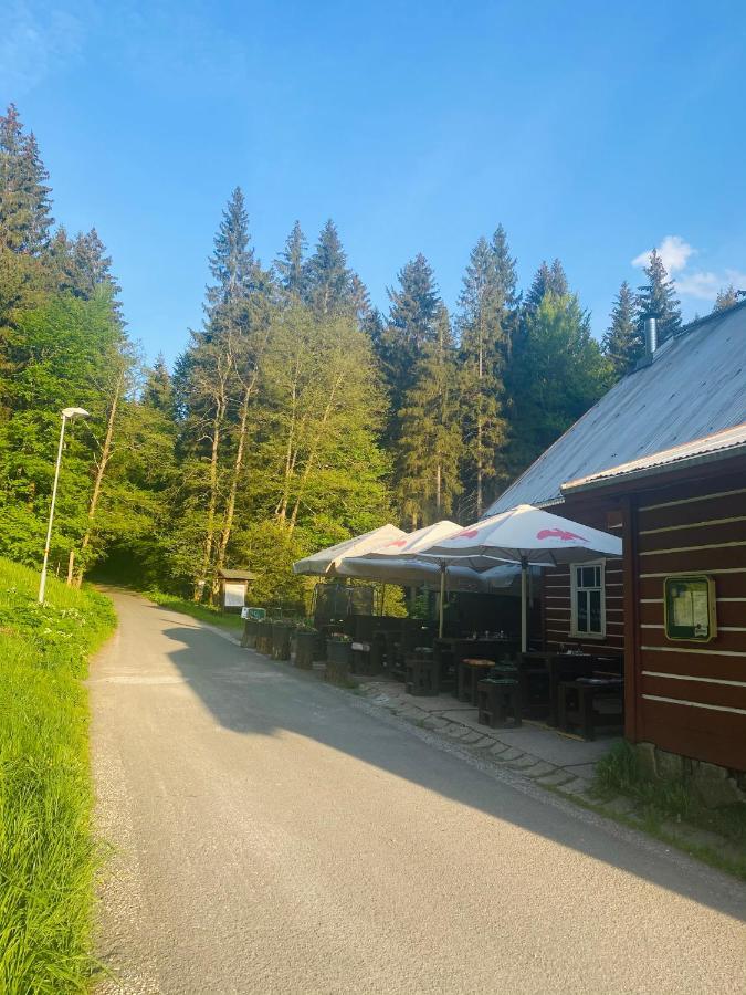 Penzion Lesni Zatisi- Harrachov Ngoại thất bức ảnh