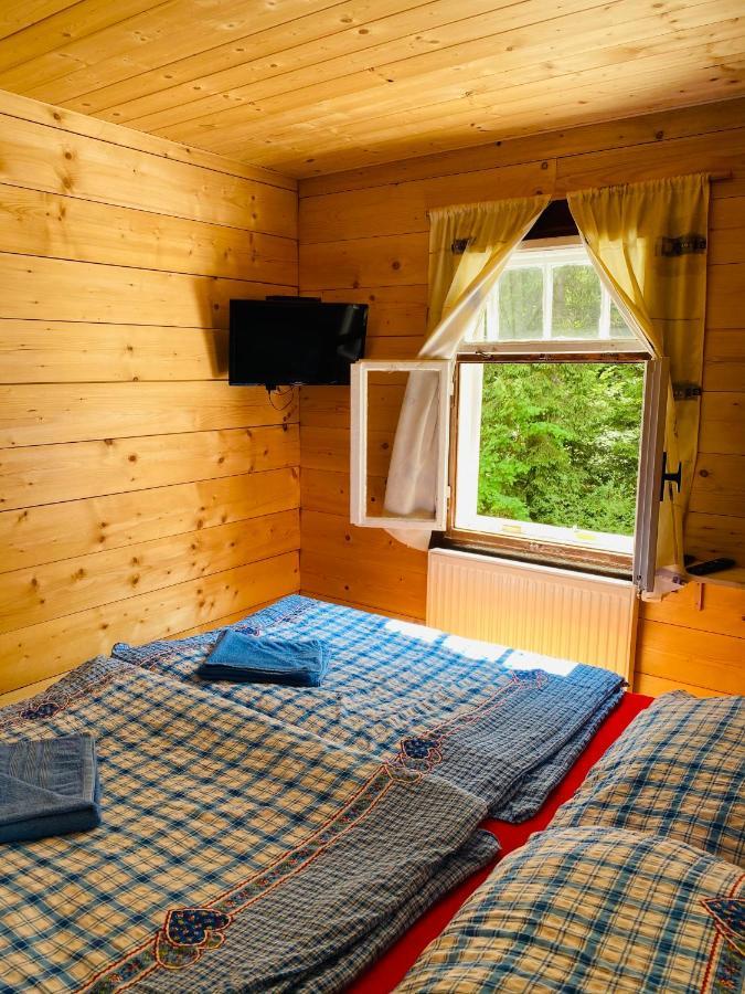 Penzion Lesni Zatisi- Harrachov Ngoại thất bức ảnh