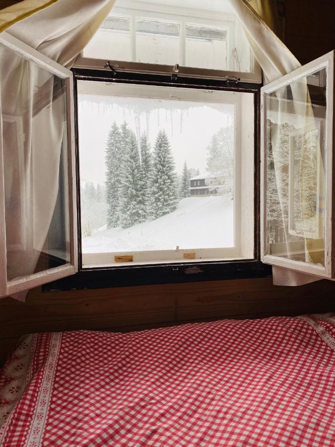 Penzion Lesni Zatisi- Harrachov Ngoại thất bức ảnh